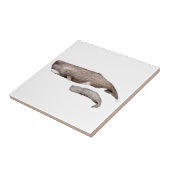 Cachalote, madre y cría タイル (側面)