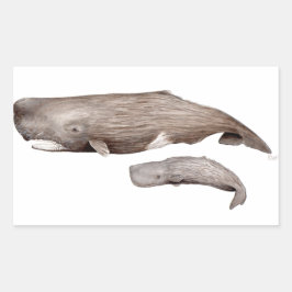 Cachalote, madre y cría 長方形シール