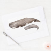 Cachalote, madre y cría 長方形シール (封筒)