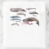 Cachalote y zifios: Ballenas de las profundidades 長方形シール (バッグ)