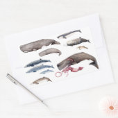 Cachalote y zifios: Ballenas de las profundidades 長方形シール (封筒)