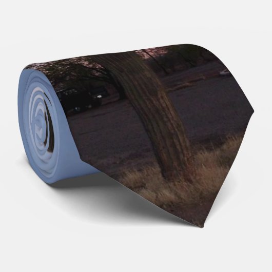 Cactのタイ ネクタイ (ロール)