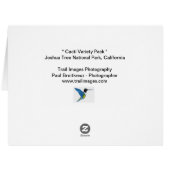 "Cactiバラエティーパック" (裏面横)