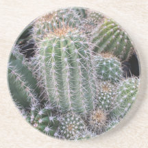 Cacti coasters