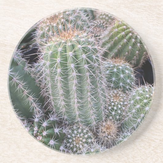 Cacti coasters コースター (正面)