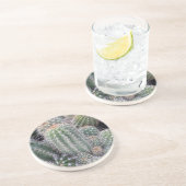 Cacti coasters コースター (側面)