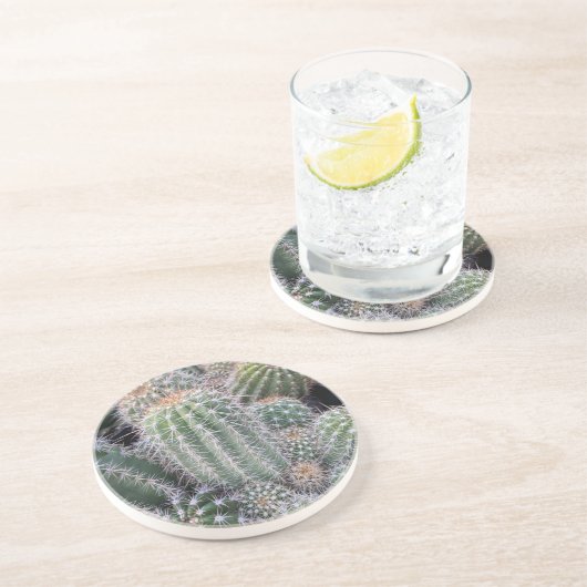 Cacti coasters コースター (側面)