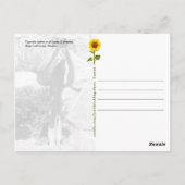 Cactus観光客, Say QUEEESO – はがき (裏面)