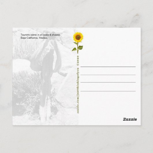 Cactus観光客, Say QUEEESO – はがき (裏面)