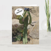 Cactus観光客, Say QUEEESO – カード (正面)