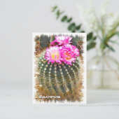Cactus ポストカード (スタンド正面)