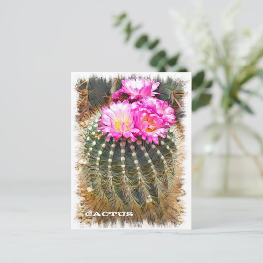Cactus ポストカード (スタンド正面)