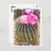 Cactus ポストカード (正面/裏面)