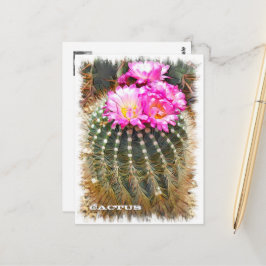 Cactus ポストカード