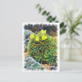 Cactus ポストカード (スタンド正面)