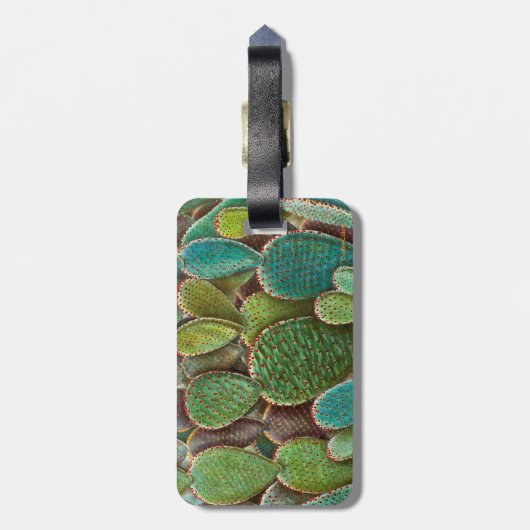 Cactus ラゲッジタグ (裏面縦)