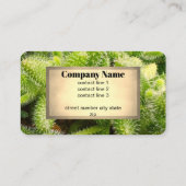 cactus bloom nature photo double sided  名刺 (裏面)