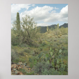 Cactus Desert Coloring Photograph Poster Art Print ポスター