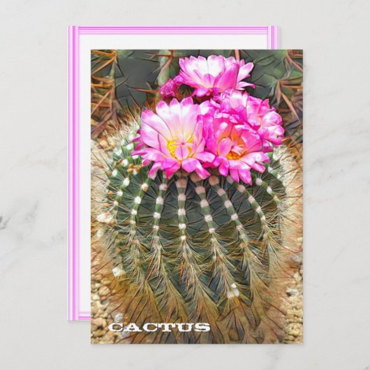 Cactus: Flat Card (正面/裏面)
