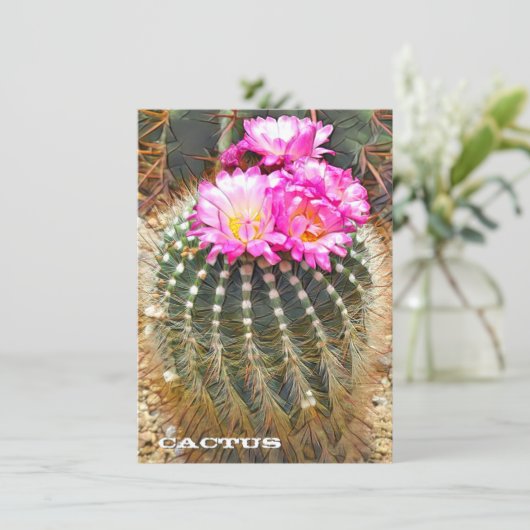 Cactus: Flat Card (スタンド正面)