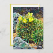 Cactus: Flat Card (正面/裏面)