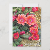 Cactus: Flat Card (正面)