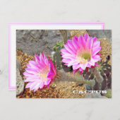 Cactus: Flat Card (正面/裏面)