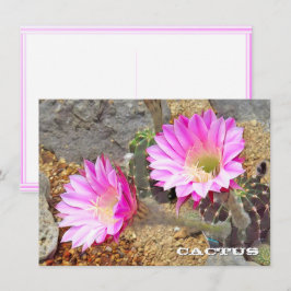 Cactus: Flat Card
