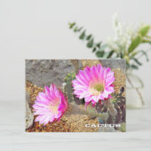 Cactus: Flat Card (スタンド正面)