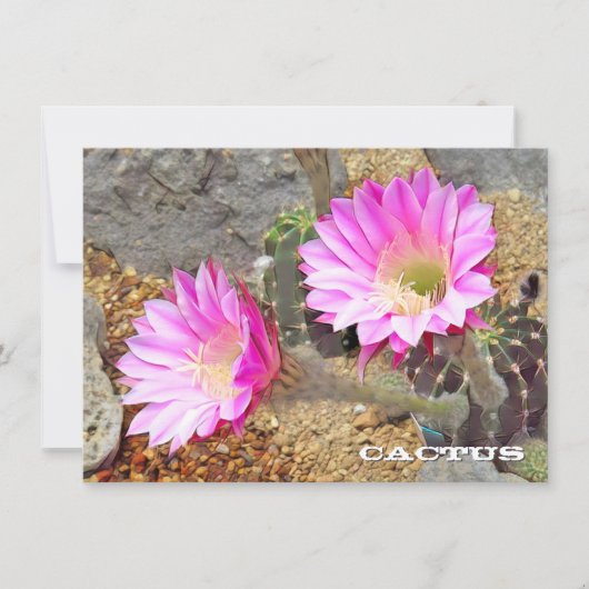 Cactus: Flat Card (正面)