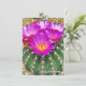 Cactus: Flat Card (スタンド正面)