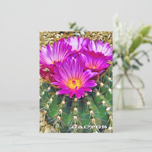 Cactus: Flat Card (スタンド正面)