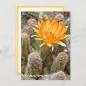 Cactus: Flat Card (正面/裏面)