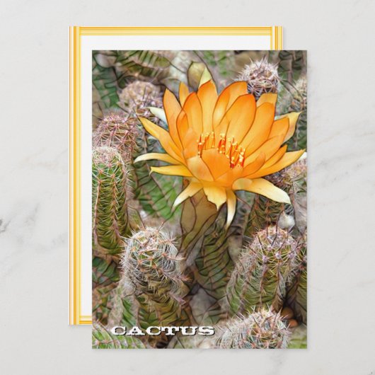 Cactus: Flat Card (正面/裏面)
