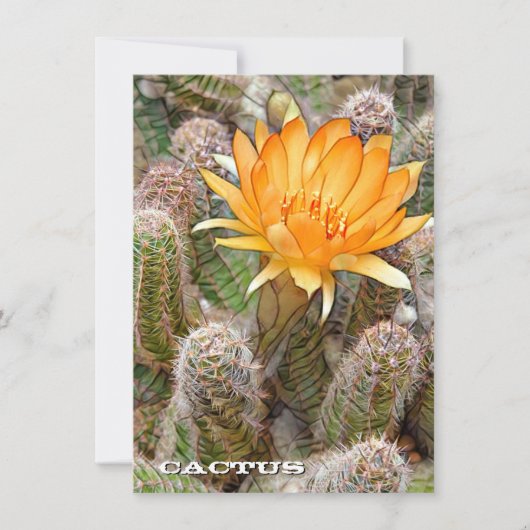 Cactus: Flat Card (正面)