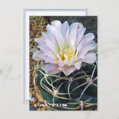 Cactus: Flat Card (正面/裏面)