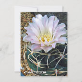 Cactus: Flat Card (正面)