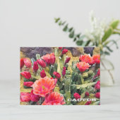 Cactus: Flat Card (スタンド正面)