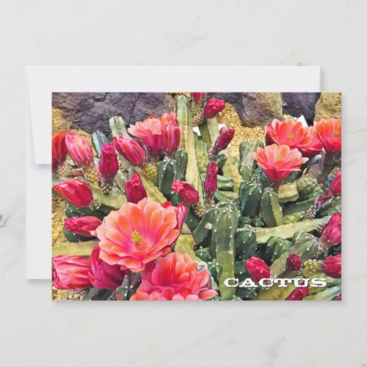 Cactus: Flat Card (正面)