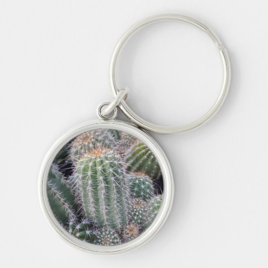 Cactus Keychain キーホルダー (正面)