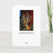 Cactus Lights内に家族の写真を追加、 シーズンカード (裏面)