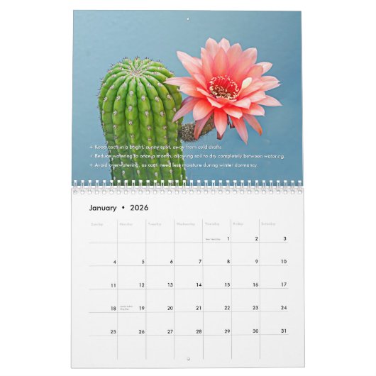 Cactus  Monthly Desert Plant Inspiration カレンダー (1月 2026)