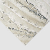 Cactus Photo Art Neutral Chic Modern Desert 薄葉紙 (詳細)