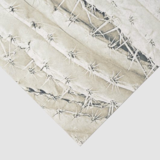 Cactus Photo Art Neutral Chic Modern Desert 薄葉紙 (詳細)