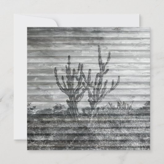Cactus Plants On Wood Planks Black And White Photo カード (正面)