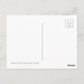 Cactus：Postcard ポストカード (裏面)