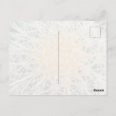 Cactus Postcard ポストカード (裏面)