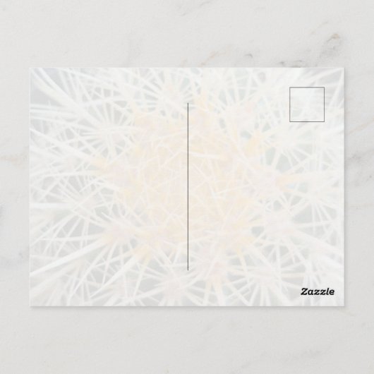 Cactus Postcard ポストカード (裏面)