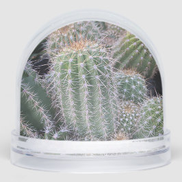 Cactus Snow Globe