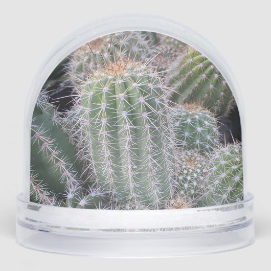 Cactus Snow Globe (正面)